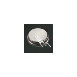 Pile Bouton CR1620 2PV - RENATA / PANASONIC - Lithium