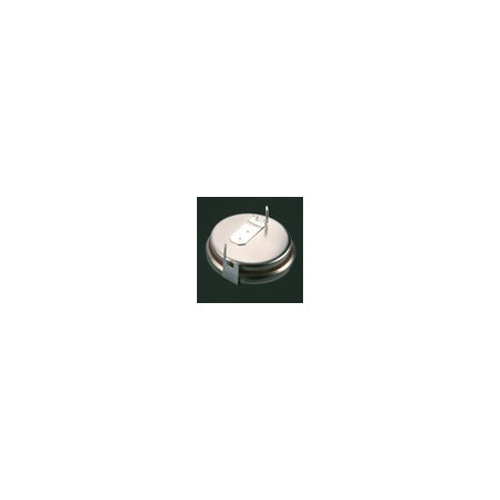 Pile Bouton CR2016 2PH - RENATA / PANASONIC - Lithium