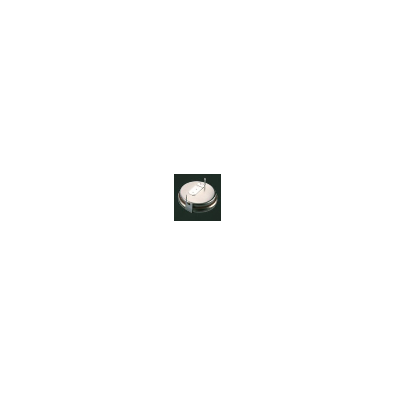 Pile Bouton CR2450N 2PH - RENATA / PANASONIC - Lithium