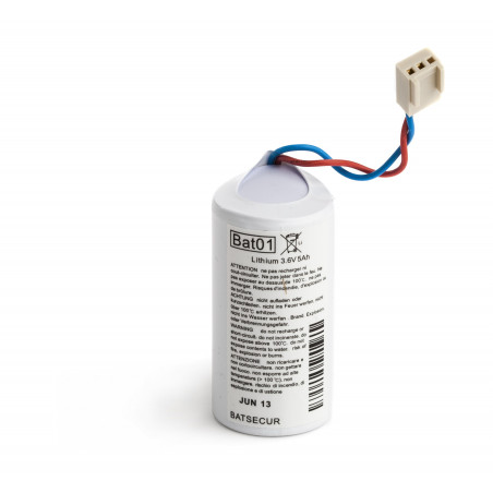 DAITEM Compatible Pile Batterie Alarme BATLI01 - 3,6V - 5,0Ah - Compatible DAITEM/LOGISTY