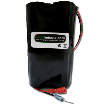 CHRONO Pile Batterie Alarme Compatible SES  - 12V - 18Ah + Connecteur