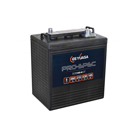 Batterie DCB145-6 - YUASA PRO-SPEC - DEEP CYCLE - Compatible T145 ex CR245 - 6V - 260Ah